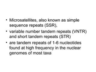 • Microsatellites, also known as simple
sequence repeats (SSR),
• variable number tandem repeats (VNTR)
and short tandem repeats (STR)
• are tandem repeats of 1-6 nucleotides
found at high frequency in the nuclear
genomes of most taxa
 
