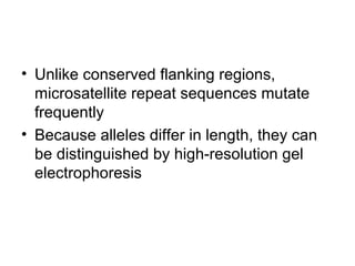 • Unlike conserved flanking regions,
microsatellite repeat sequences mutate
frequently
• Because alleles differ in length, they can
be distinguished by high-resolution gel
electrophoresis
 