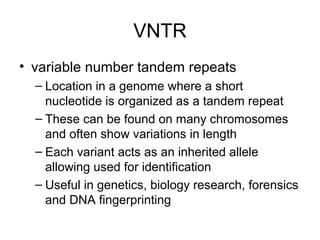 VNTR
• variable number tandem repeats
– Location in a genome where a short
nucleotide is organized as a tandem repeat
– These can be found on many chromosomes
and often show variations in length
– Each variant acts as an inherited allele
allowing used for identification
– Useful in genetics, biology research, forensics
and DNA fingerprinting
 