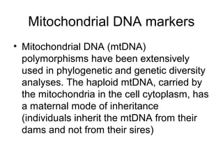 Mitochondrial DNA markers
• Mitochondrial DNA (mtDNA)
polymorphisms have been extensively
used in phylogenetic and genetic diversity
analyses. The haploid mtDNA, carried by
the mitochondria in the cell cytoplasm, has
a maternal mode of inheritance
(individuals inherit the mtDNA from their
dams and not from their sires)
 