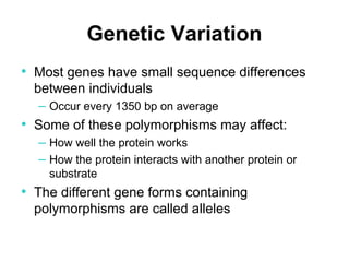 Genetic Variation
• Most genes have small sequence differences
between individuals
– Occur every 1350 bp on average
• Some of these polymorphisms may affect:
– How well the protein works
– How the protein interacts with another protein or
substrate
• The different gene forms containing
polymorphisms are called alleles
 