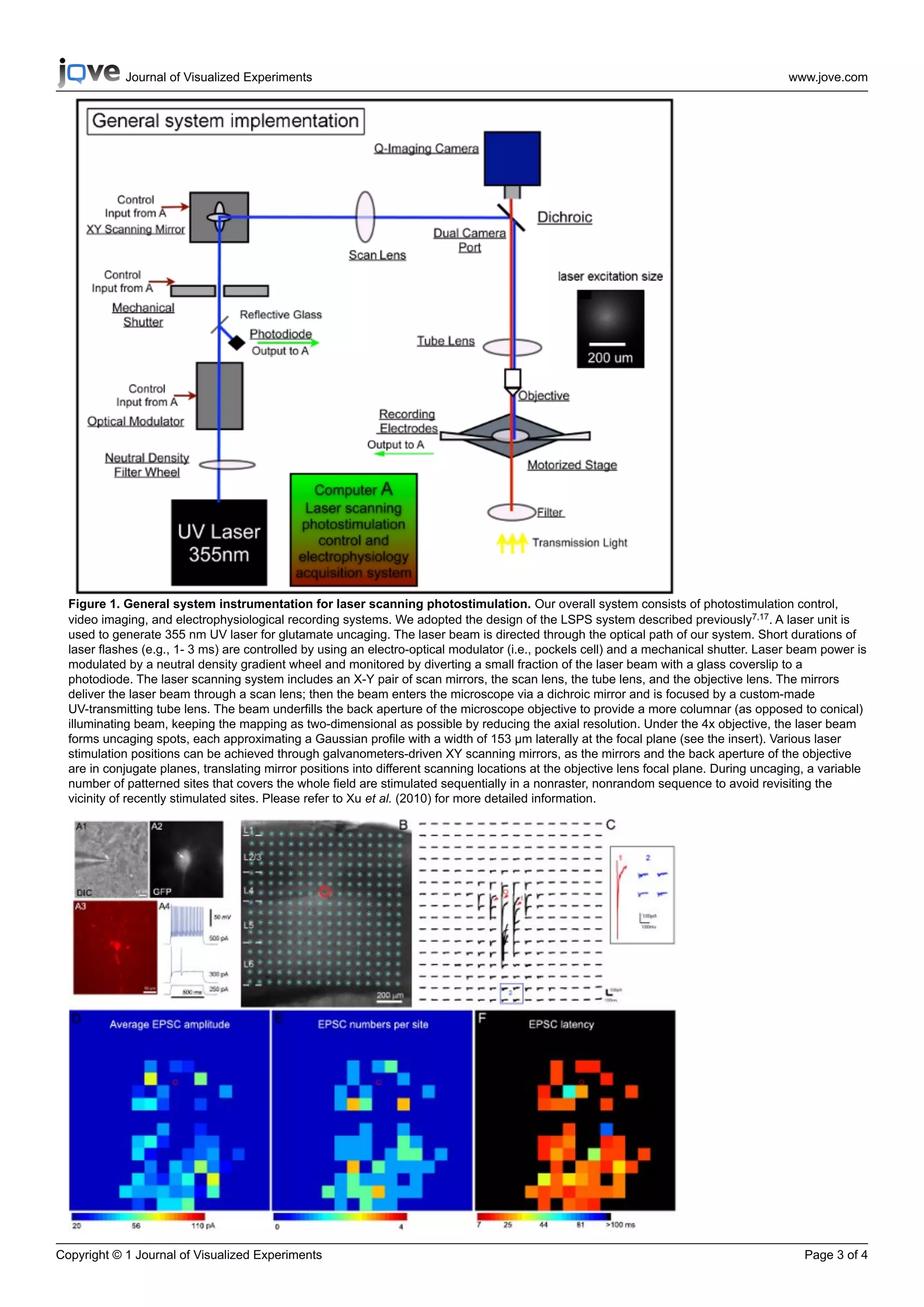 Journal of Visualized Experiments                                                                                            www.jove.com




  Figure 1. General system instrumentation for laser scanning photostimulation. Our overall system consists of photostimulation control,
  video imaging, and electrophysiological recording systems. We adopted the design of the LSPS system described previously7,17. A laser unit is
  used to generate 355 nm UV laser for glutamate uncaging. The laser beam is directed through the optical path of our system. Short durations of
  laser flashes (e.g., 1- 3 ms) are controlled by using an electro-optical modulator (i.e., pockels cell) and a mechanical shutter. Laser beam power is
  modulated by a neutral density gradient wheel and monitored by diverting a small fraction of the laser beam with a glass coverslip to a
  photodiode. The laser scanning system includes an X-Y pair of scan mirrors, the scan lens, the tube lens, and the objective lens. The mirrors
  deliver the laser beam through a scan lens; then the beam enters the microscope via a dichroic mirror and is focused by a custom-made
  UV-transmitting tube lens. The beam underfills the back aperture of the microscope objective to provide a more columnar (as opposed to conical)
  illuminating beam, keeping the mapping as two-dimensional as possible by reducing the axial resolution. Under the 4x objective, the laser beam
  forms uncaging spots, each approximating a Gaussian profile with a width of 153 μm laterally at the focal plane (see the insert). Various laser
  stimulation positions can be achieved through galvanometers-driven XY scanning mirrors, as the mirrors and the back aperture of the objective
  are in conjugate planes, translating mirror positions into different scanning locations at the objective lens focal plane. During uncaging, a variable
  number of patterned sites that covers the whole field are stimulated sequentially in a nonraster, nonrandom sequence to avoid revisiting the
  vicinity of recently stimulated sites. Please refer to Xu et al. (2010) for more detailed information.




Copyright © 1 Journal of Visualized Experiments                                                                                             Page 3 of 4
 