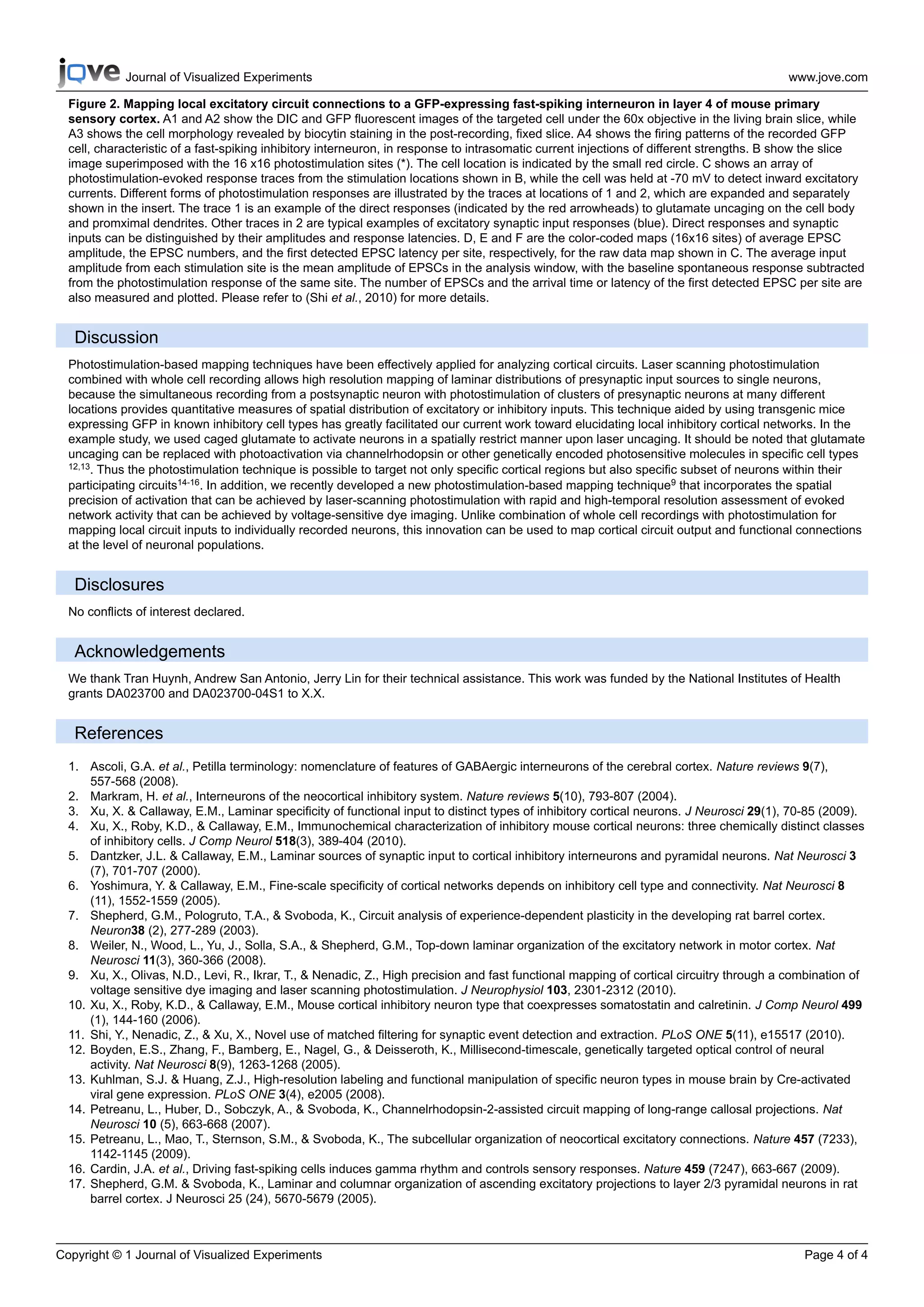 Journal of Visualized Experiments                                                                                           www.jove.com

  Figure 2. Mapping local excitatory circuit connections to a GFP-expressing fast-spiking interneuron in layer 4 of mouse primary
  sensory cortex. A1 and A2 show the DIC and GFP fluorescent images of the targeted cell under the 60x objective in the living brain slice, while
  A3 shows the cell morphology revealed by biocytin staining in the post-recording, fixed slice. A4 shows the firing patterns of the recorded GFP
  cell, characteristic of a fast-spiking inhibitory interneuron, in response to intrasomatic current injections of different strengths. B show the slice
  image superimposed with the 16 x16 photostimulation sites (*). The cell location is indicated by the small red circle. C shows an array of
  photostimulation-evoked response traces from the stimulation locations shown in B, while the cell was held at -70 mV to detect inward excitatory
  currents. Different forms of photostimulation responses are illustrated by the traces at locations of 1 and 2, which are expanded and separately
  shown in the insert. The trace 1 is an example of the direct responses (indicated by the red arrowheads) to glutamate uncaging on the cell body
  and promximal dendrites. Other traces in 2 are typical examples of excitatory synaptic input responses (blue). Direct responses and synaptic
  inputs can be distinguished by their amplitudes and response latencies. D, E and F are the color-coded maps (16x16 sites) of average EPSC
  amplitude, the EPSC numbers, and the first detected EPSC latency per site, respectively, for the raw data map shown in C. The average input
  amplitude from each stimulation site is the mean amplitude of EPSCs in the analysis window, with the baseline spontaneous response subtracted
  from the photostimulation response of the same site. The number of EPSCs and the arrival time or latency of the first detected EPSC per site are
  also measured and plotted. Please refer to (Shi et al., 2010) for more details.


   Discussion
  Photostimulation-based mapping techniques have been effectively applied for analyzing cortical circuits. Laser scanning photostimulation
  combined with whole cell recording allows high resolution mapping of laminar distributions of presynaptic input sources to single neurons,
  because the simultaneous recording from a postsynaptic neuron with photostimulation of clusters of presynaptic neurons at many different
  locations provides quantitative measures of spatial distribution of excitatory or inhibitory inputs. This technique aided by using transgenic mice
  expressing GFP in known inhibitory cell types has greatly facilitated our current work toward elucidating local inhibitory cortical networks. In the
  example study, we used caged glutamate to activate neurons in a spatially restrict manner upon laser uncaging. It should be noted that glutamate
  uncaging can be replaced with photoactivation via channelrhodopsin or other genetically encoded photosensitive molecules in specific cell types
  12,13. Thus the photostimulation technique is possible to target not only specific cortical regions but also specific subset of neurons within their

  participating circuits14-16. In addition, we recently developed a new photostimulation-based mapping technique9 that incorporates the spatial
  precision of activation that can be achieved by laser-scanning photostimulation with rapid and high-temporal resolution assessment of evoked
  network activity that can be achieved by voltage-sensitive dye imaging. Unlike combination of whole cell recordings with photostimulation for
  mapping local circuit inputs to individually recorded neurons, this innovation can be used to map cortical circuit output and functional connections
  at the level of neuronal populations.


   Disclosures
  No conflicts of interest declared.


   Acknowledgements
  We thank Tran Huynh, Andrew San Antonio, Jerry Lin for their technical assistance. This work was funded by the National Institutes of Health
  grants DA023700 and DA023700-04S1 to X.X.


   References
  1. Ascoli, G.A. et al., Petilla terminology: nomenclature of features of GABAergic interneurons of the cerebral cortex. Nature reviews 9(7),
      557-568 (2008).
  2. Markram, H. et al., Interneurons of the neocortical inhibitory system. Nature reviews 5(10), 793-807 (2004).
  3. Xu, X. & Callaway, E.M., Laminar specificity of functional input to distinct types of inhibitory cortical neurons. J Neurosci 29(1), 70-85 (2009).
  4. Xu, X., Roby, K.D., & Callaway, E.M., Immunochemical characterization of inhibitory mouse cortical neurons: three chemically distinct classes
      of inhibitory cells. J Comp Neurol 518(3), 389-404 (2010).
  5. Dantzker, J.L. & Callaway, E.M., Laminar sources of synaptic input to cortical inhibitory interneurons and pyramidal neurons. Nat Neurosci 3
      (7), 701-707 (2000).
  6. Yoshimura, Y. & Callaway, E.M., Fine-scale specificity of cortical networks depends on inhibitory cell type and connectivity. Nat Neurosci 8
      (11), 1552-1559 (2005).
  7. Shepherd, G.M., Pologruto, T.A., & Svoboda, K., Circuit analysis of experience-dependent plasticity in the developing rat barrel cortex.
      Neuron38 (2), 277-289 (2003).
  8. Weiler, N., Wood, L., Yu, J., Solla, S.A., & Shepherd, G.M., Top-down laminar organization of the excitatory network in motor cortex. Nat
      Neurosci 11(3), 360-366 (2008).
  9. Xu, X., Olivas, N.D., Levi, R., Ikrar, T., & Nenadic, Z., High precision and fast functional mapping of cortical circuitry through a combination of
      voltage sensitive dye imaging and laser scanning photostimulation. J Neurophysiol 103, 2301-2312 (2010).
  10. Xu, X., Roby, K.D., & Callaway, E.M., Mouse cortical inhibitory neuron type that coexpresses somatostatin and calretinin. J Comp Neurol 499
      (1), 144-160 (2006).
  11. Shi, Y., Nenadic, Z., & Xu, X., Novel use of matched filtering for synaptic event detection and extraction. PLoS ONE 5(11), e15517 (2010).
  12. Boyden, E.S., Zhang, F., Bamberg, E., Nagel, G., & Deisseroth, K., Millisecond-timescale, genetically targeted optical control of neural
      activity. Nat Neurosci 8(9), 1263-1268 (2005).
  13. Kuhlman, S.J. & Huang, Z.J., High-resolution labeling and functional manipulation of specific neuron types in mouse brain by Cre-activated
      viral gene expression. PLoS ONE 3(4), e2005 (2008).
  14. Petreanu, L., Huber, D., Sobczyk, A., & Svoboda, K., Channelrhodopsin-2-assisted circuit mapping of long-range callosal projections. Nat
      Neurosci 10 (5), 663-668 (2007).
  15. Petreanu, L., Mao, T., Sternson, S.M., & Svoboda, K., The subcellular organization of neocortical excitatory connections. Nature 457 (7233),
      1142-1145 (2009).
  16. Cardin, J.A. et al., Driving fast-spiking cells induces gamma rhythm and controls sensory responses. Nature 459 (7247), 663-667 (2009).
  17. Shepherd, G.M. & Svoboda, K., Laminar and columnar organization of ascending excitatory projections to layer 2/3 pyramidal neurons in rat
      barrel cortex. J Neurosci 25 (24), 5670-5679 (2005).



Copyright © 1 Journal of Visualized Experiments                                                                                             Page 4 of 4
 