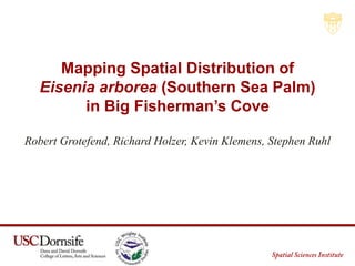 Mapping Southern Sea Palm | 1
Mapping Spatial Distribution of
Eisenia arborea (Southern Sea Palm)
in Big Fisherman’s Cove
Robert Grotefend, Richard Holzer, Kevin Klemens, Stephen Ruhl
 