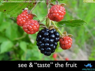 see & “taste” the fruit
www.ﬂickr.com/photos/martinlabar/14504485695
#WyTECC15
 