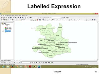 Labelled Expression
254/18/2014
 