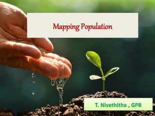Mapping Population
T. Nivethitha , GPB
 