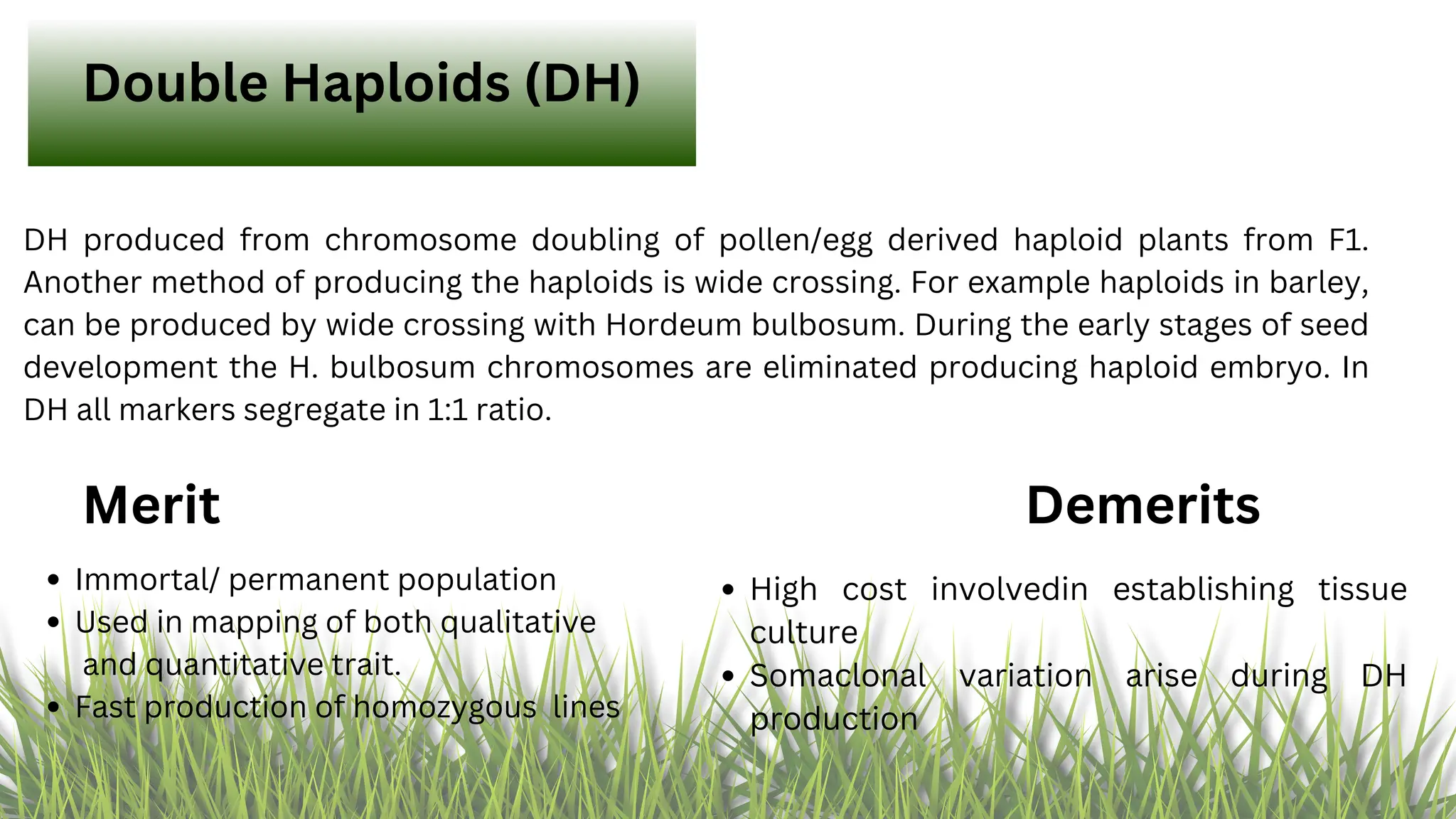 Mapping Population.pdf