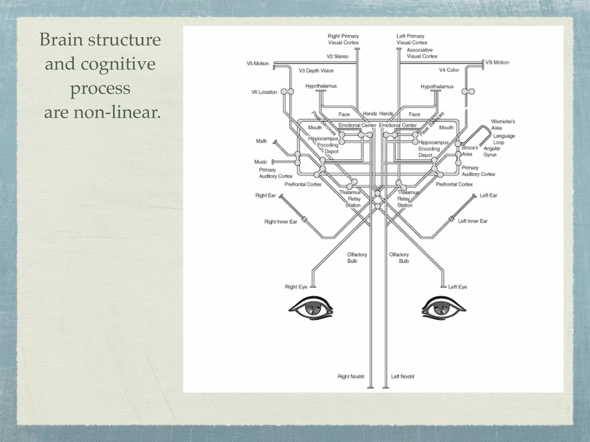 Brain structure
and cognitive
    process
are non-linear.
 