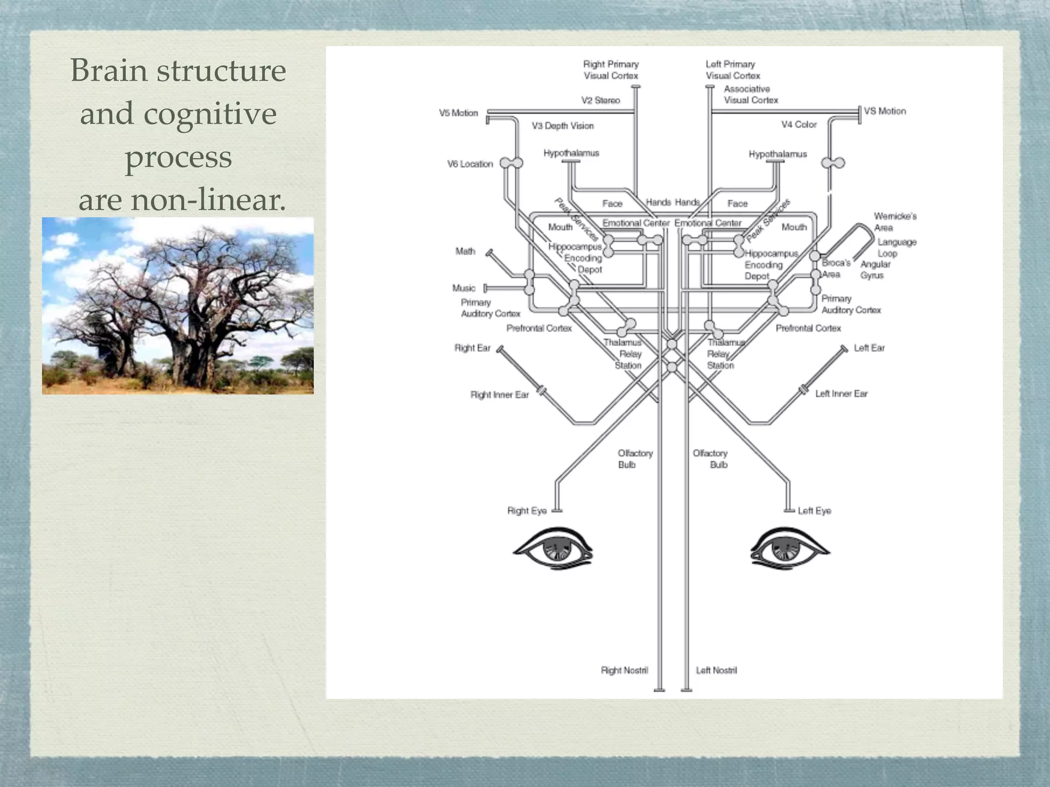 Brain structure
and cognitive
    process
are non-linear.
 