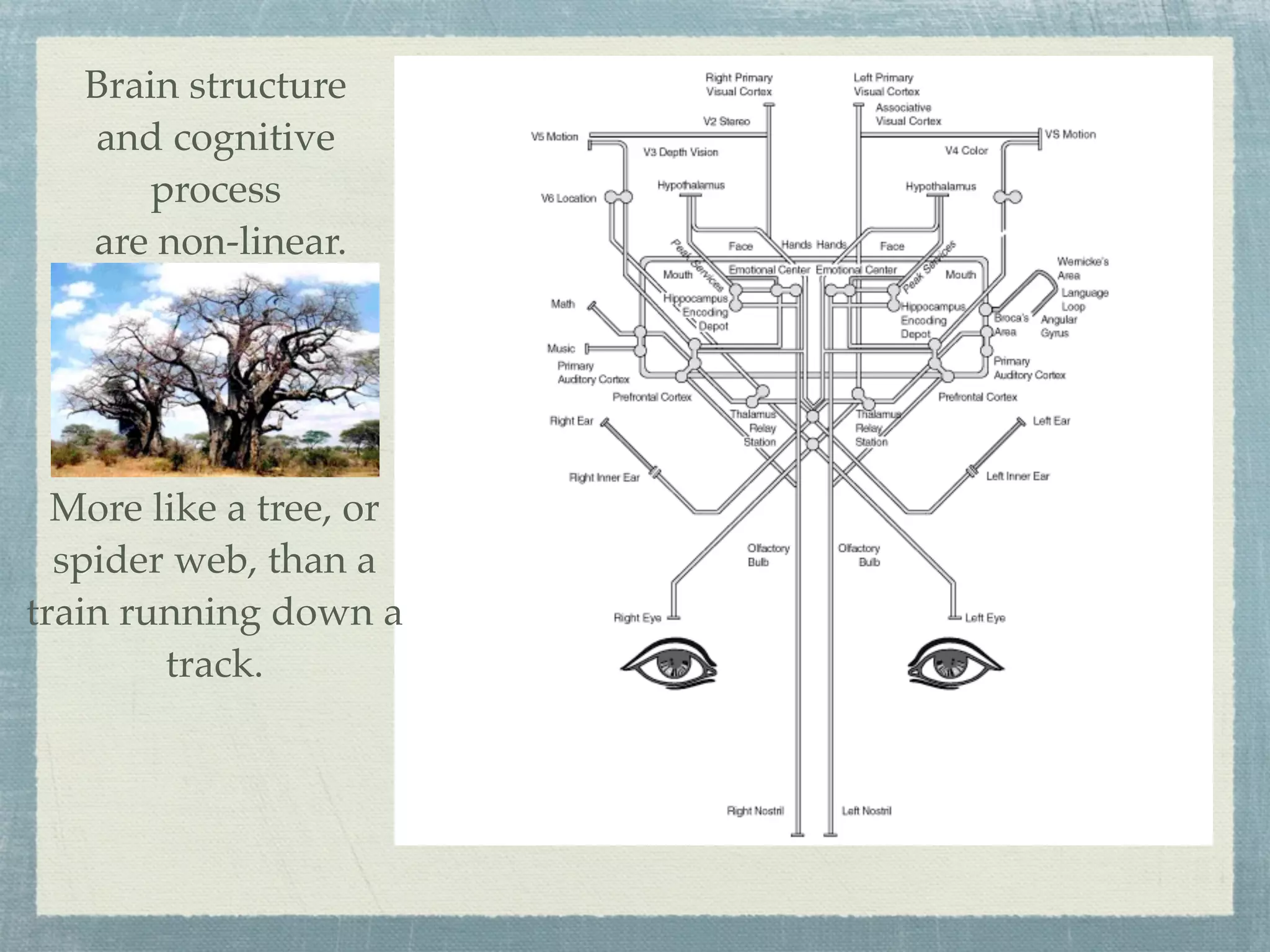 Brain structure
   and cognitive
       process
   are non-linear.




  More like a tree, or
  spider web, than a
train running down a
        track.
 