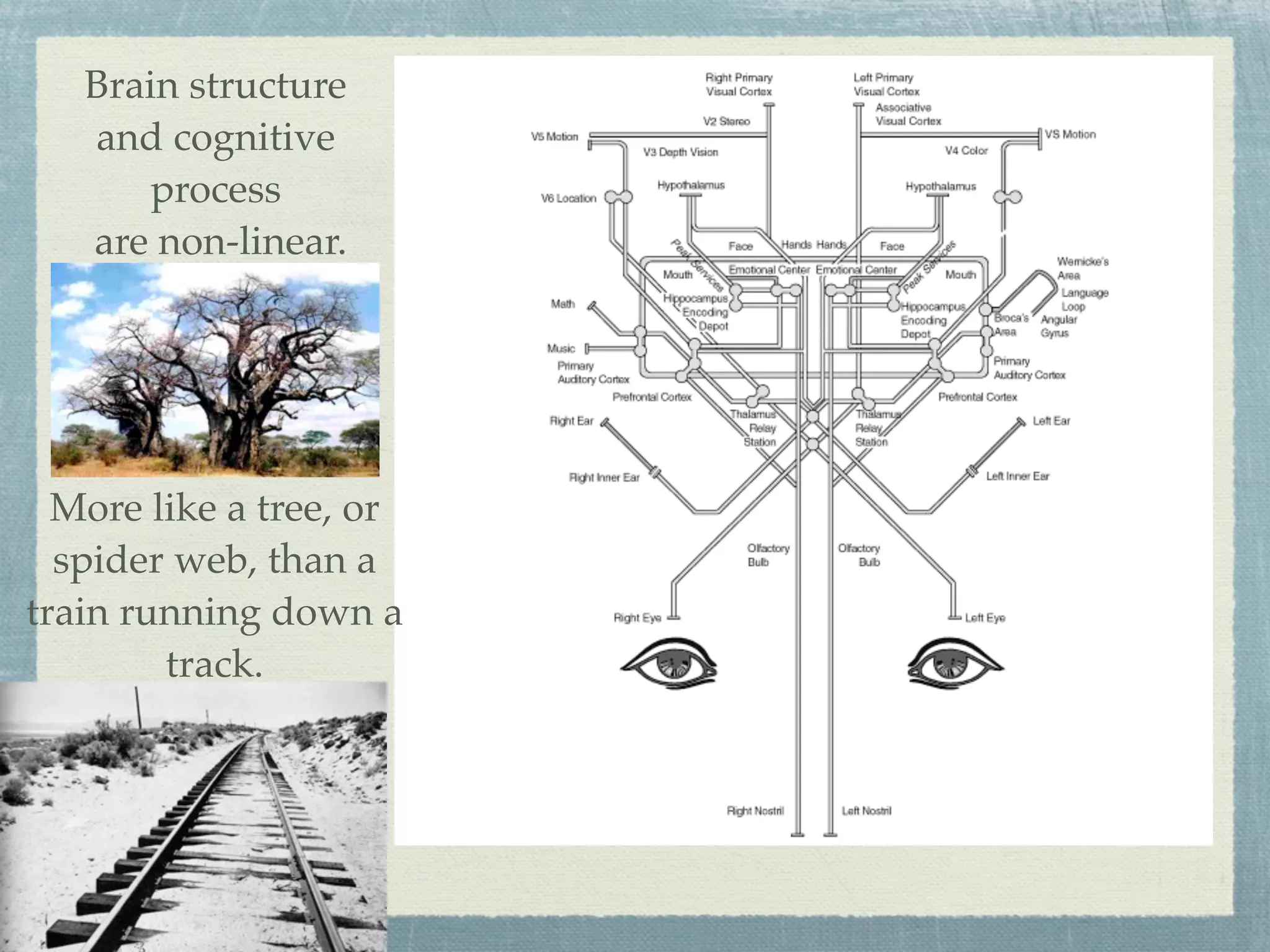 Brain structure
   and cognitive
       process
   are non-linear.




  More like a tree, or
  spider web, than a
train running down a
        track.
 