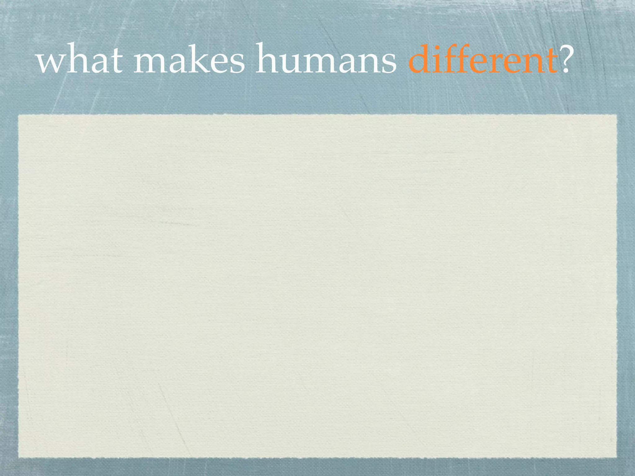 what makes humans different?
 