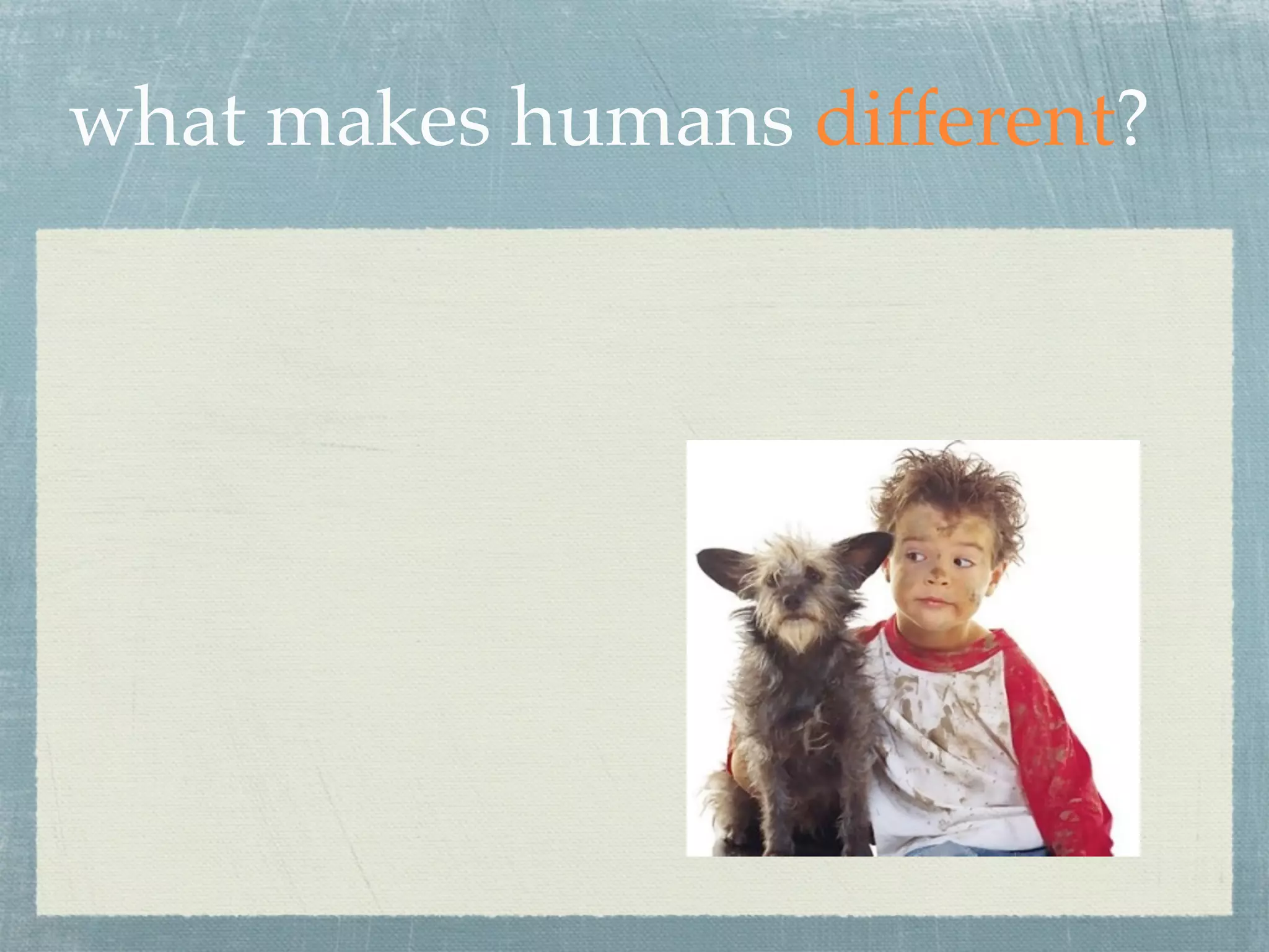 what makes humans different?
 