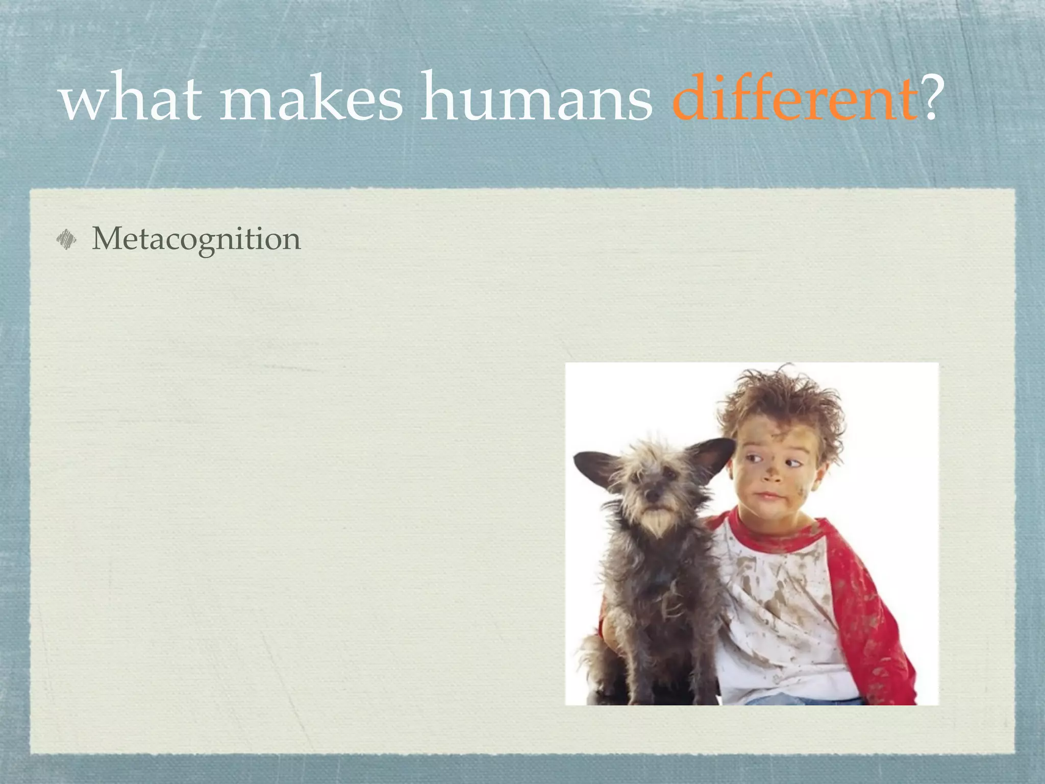 what makes humans different?
 Metacognition
 
