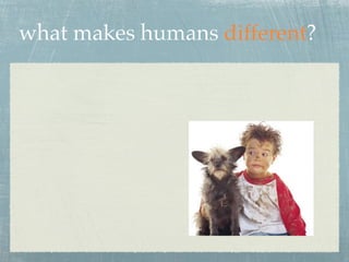 what makes humans different?
 