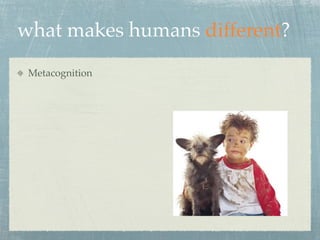 what makes humans different?
 Metacognition
 