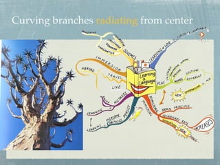 Curving branches radiating from center
 