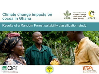 Results of a Random Forest suitability classification study
Climate change impacts on
cocoa in Ghana
 