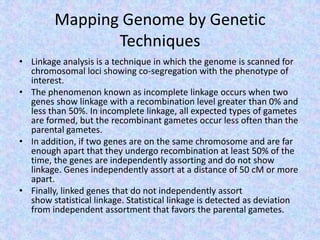 Mapping Genome by Genetic
Techniques
• Linkage analysis is a technique in which the genome is scanned for
chromosomal loci showing co-segregation with the phenotype of
interest.
• The phenomenon known as incomplete linkage occurs when two
genes show linkage with a recombination level greater than 0% and
less than 50%. In incomplete linkage, all expected types of gametes
are formed, but the recombinant gametes occur less often than the
parental gametes.
• In addition, if two genes are on the same chromosome and are far
enough apart that they undergo recombination at least 50% of the
time, the genes are independently assorting and do not show
linkage. Genes independently assort at a distance of 50 cM or more
apart.
• Finally, linked genes that do not independently assort
show statistical linkage. Statistical linkage is detected as deviation
from independent assortment that favors the parental gametes.
 