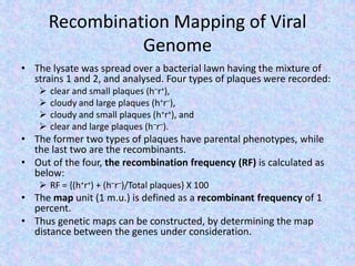 Recombination Mapping of Viral
Genome
• The lysate was spread over a bacterial lawn having the mixture of
strains 1 and 2, and analysed. Four types of plaques were recorded:
 clear and small plaques (h–r+),
 cloudy and large plaques (h+r–),
 cloudy and small plaques (h+r+), and
 clear and large plaques (h–r–).
• The former two types of plaques have parental phenotypes, while
the last two are the recombinants.
• Out of the four, the recombination frequency (RF) is calculated as
below:
 RF = {(h+r+) + (h–r–)/Total plaques} X 100
• The map unit (1 m.u.) is defined as a recombinant frequency of 1
percent.
• Thus genetic maps can be constructed, by determining the map
distance between the genes under consideration.
 