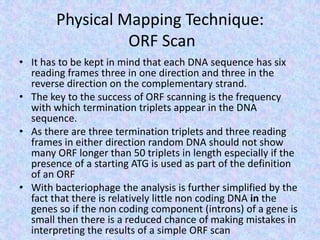 Physical Mapping Technique:
ORF Scan
• It has to be kept in mind that each DNA sequence has six
reading frames three in one direction and three in the
reverse direction on the complementary strand.
• The key to the success of ORF scanning is the frequency
with which termination triplets appear in the DNA
sequence.
• As there are three termination triplets and three reading
frames in either direction random DNA should not show
many ORF longer than 50 triplets in length especially if the
presence of a starting ATG is used as part of the definition
of an ORF
• With bacteriophage the analysis is further simplified by the
fact that there is relatively little non coding DNA in the
genes so if the non coding component (introns) of a gene is
small then there is a reduced chance of making mistakes in
interpreting the results of a simple ORF scan
 