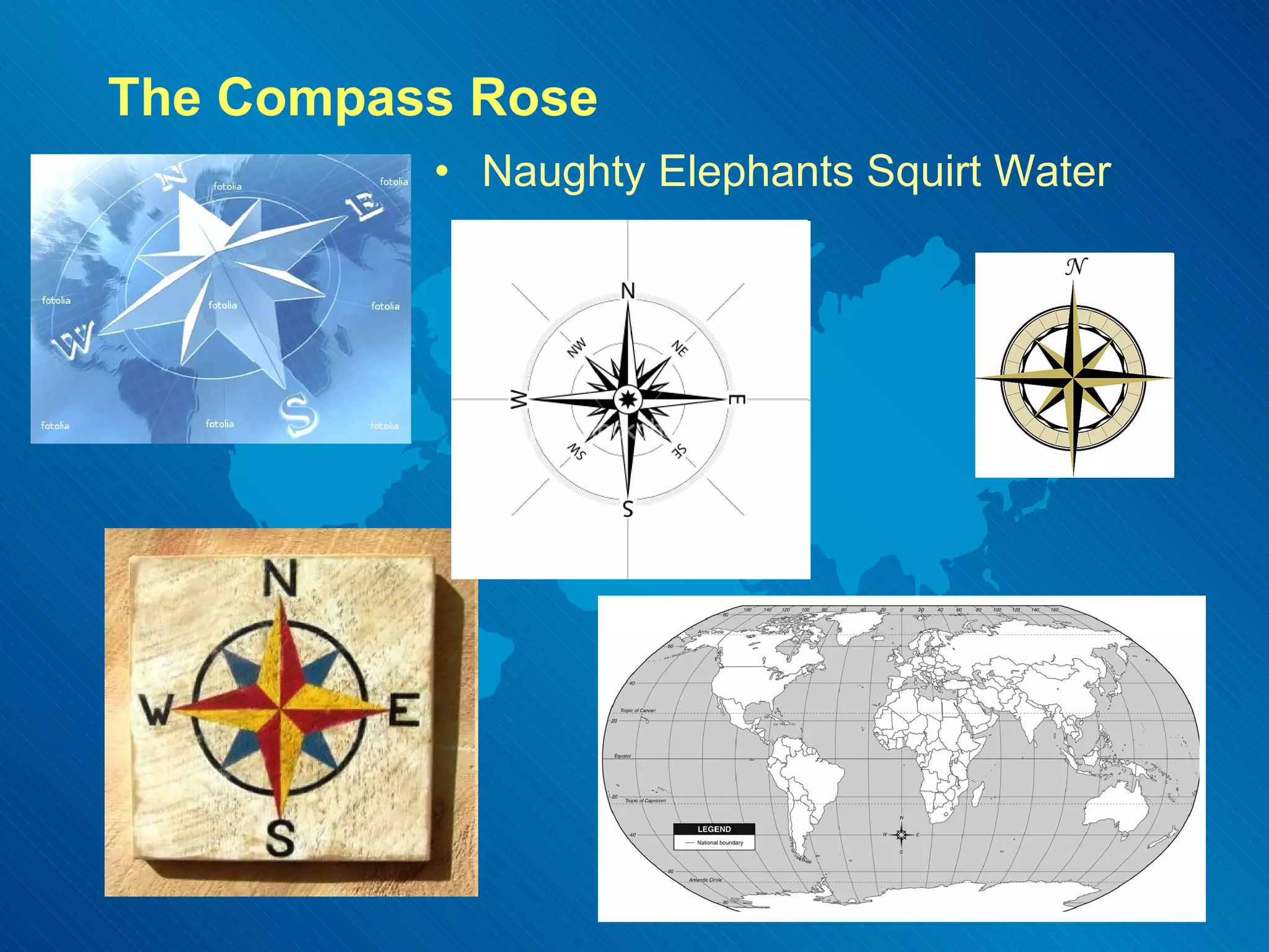 The Compass Rose Naughty Elephants Squirt Water 
