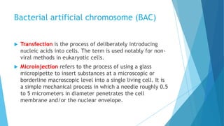 Mapping the genome of bacteria | PPTX