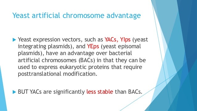 Mapping the genome of bacteria