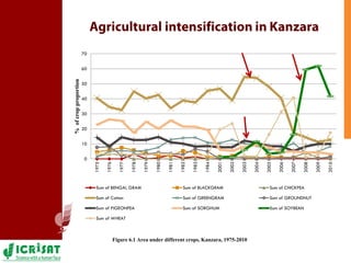 Mapping the social network architecture of rural communities gender & technological innovations in the semi-arid tropics of India