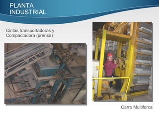 Cintas transportadoras y  Compactadora (prensa) Carro Multiforca PLANTA INDUSTRIAL  