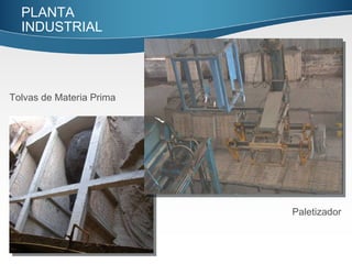 Paletizador Tolvas de Materia Prima PLANTA INDUSTRIAL  