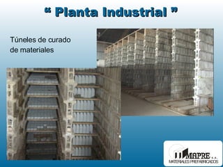 “  Planta Industrial ” Túneles de curado  de materiales 