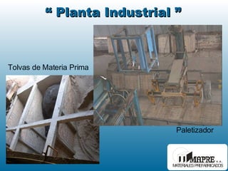 “  Planta Industrial ” Paletizador Tolvas de Materia Prima 