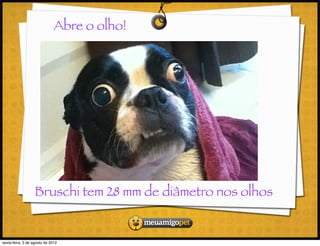 Abre o olho!




                   Bruschi tem 28 mm de diâmetro nos olhos


sexta-feira, 3 de agosto de 2012
 