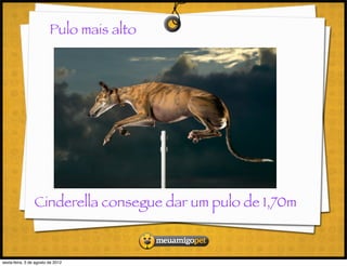 Pulo mais alto




                 Cinderella consegue dar um pulo de 1,70m



sexta-feira, 3 de agosto de 2012
 