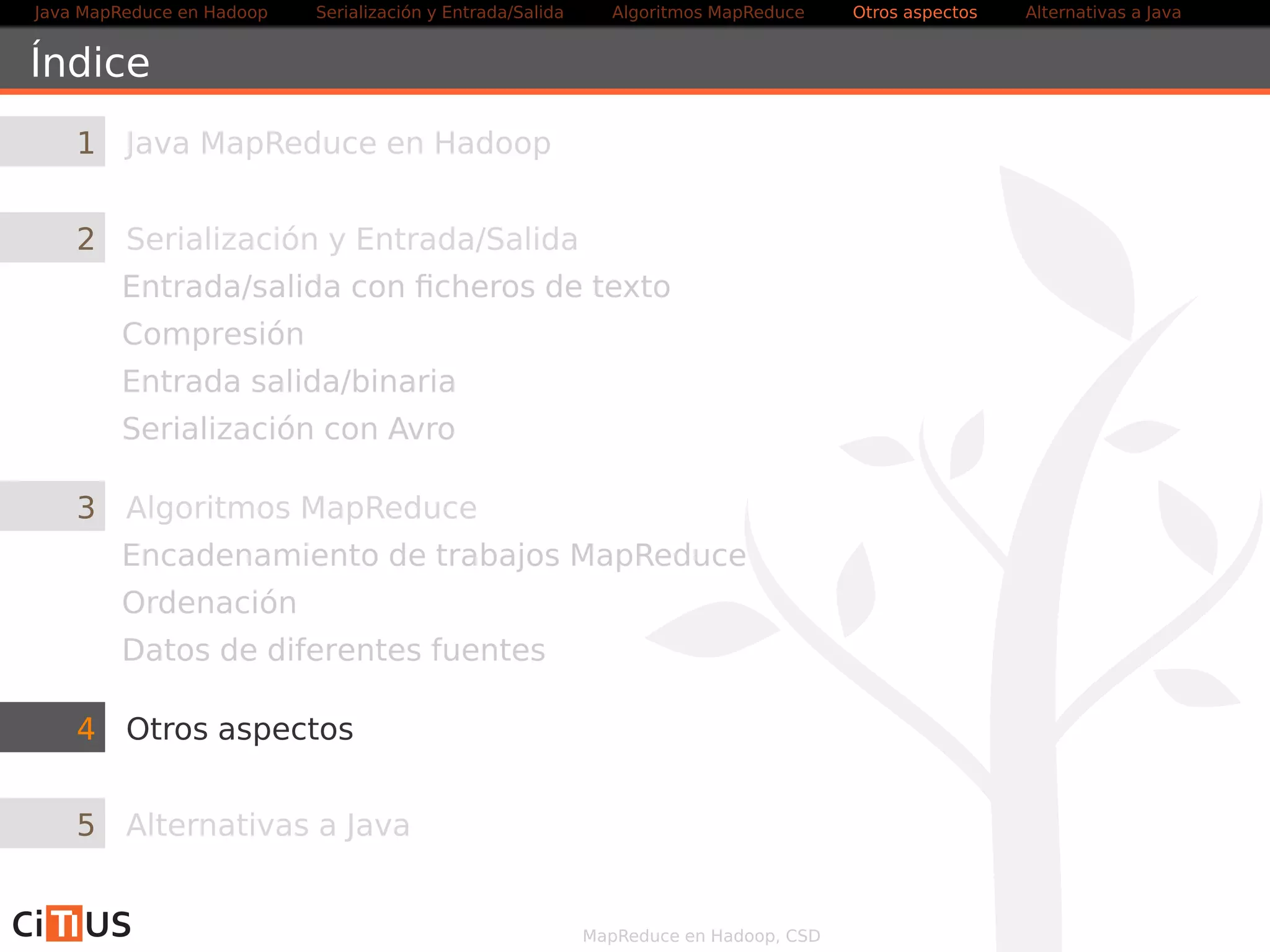 Java MapReduce en Hadoop Serialización y Entrada/Salida Tareas MapReduce Otros aspectos Alternativas a Java 
WordCount2 Mapper (II) 
@Override 
public void map( LongWritable key, Text value , Context ctxt ) throws 
IOException , InterruptedException { 
String l ine = ( caseSensitive ) ? value . toString ( ) : 
value . toString ( ) . toLowerCase( ) ; 
for ( String pattern : patternsToSkip ) { 
l ine = l ine . replaceAll (   b+pattern+  b ,   ) ; 
} 
Matcher matcher = pat .matcher ( l ine ) ; 
while (matcher . f ind ( ) ) { 
String token = matcher .group( ) ; 
i f (words . containsKey( token) ) { 
int total = words . get ( token) + 1; 
words . put ( token , total ) ; 
} else { 
words . put ( token , 1) ; 
} 
ctxt . getCounter (CountersEnum.PALABRAS_INCLUIDAS) . increment (1) ; 
} 
} 
MapReduce en Hadoop, CSD 43/58 
 
