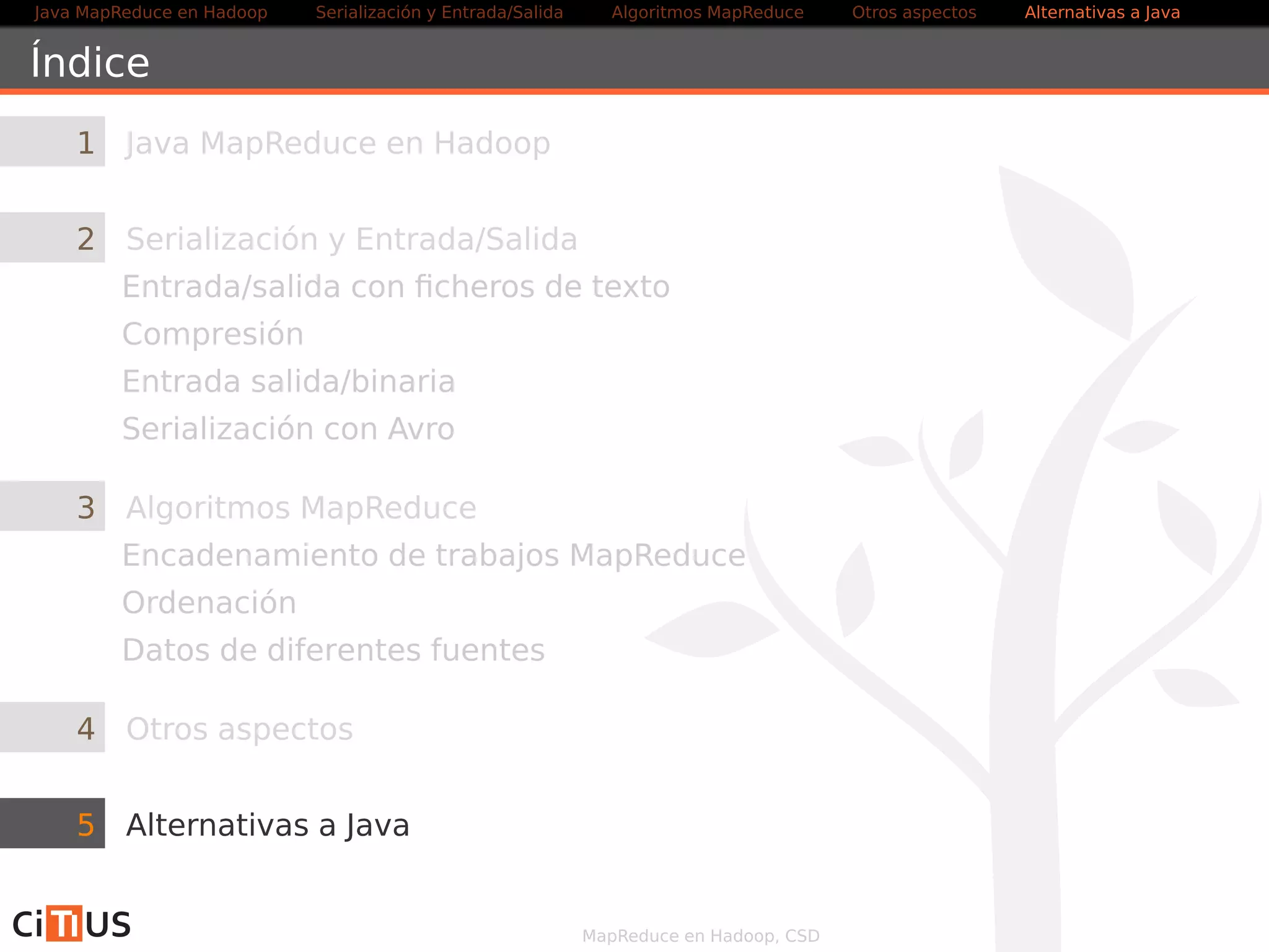 Java MapReduce en Hadoop Serialización y Entrada/Salida Tareas MapReduce Otros aspectos Alternativas a Java 
Índice 
1 Java MapReduce en Hadoop 
2 Serialización y Entrada/Salida 
Entrada/salida con ficheros de texto 
Compresión 
Entrada salida/binaria 
Serialización con Avro 
3 Tareas MapReduce 
Algoritmos: encadenamiento, ordenación, fuentes múltiples 
Localización de dependencias 
Contadores 
Ejemplo avanzado 
4 Otros aspectos 
5 Alternativas a Java 
MapReduce en Hadoop, CSD 
 