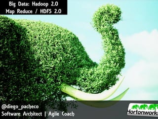 Big Data: Hadoop 2.0
Map Reduce / HDFS 2.0

@diego_pacheco
Software Architect | Agile Coach

 