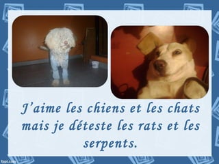 J’aime les chiens et les chats
mais je déteste les rats et les
serpents.
 