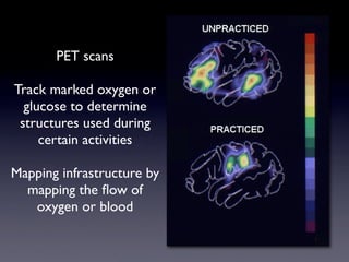 Mapping Globalization