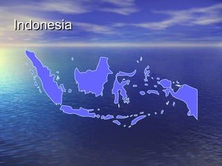 Indonesia

 