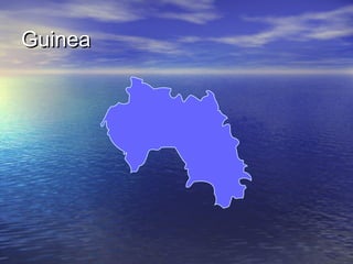 Guinea

 