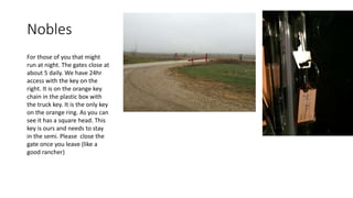 Nobles
For those of you that might
run at night. The gates close at
about 5 daily. We have 24hr
access with the key on the
right. It is on the orange key
chain in the plastic box with
the truck key. It is the only key
on the orange ring. As you can
see it has a square head. This
key is ours and needs to stay
in the semi. Please close the
gate once you leave (like a
good rancher)
 