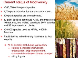 Current status of biodiversity
>300,000 edible plant species.
7,000 plants species for human consumption.
400 plant species are domesticated.
12 plant species contribute >75% and three crops
(wheat, rice, and maize) contribute 60 % calories
and 56 % protein from plants.
>20,000 species used as MAPs, > 600 in
Pakistan.
Rapid decline in biodiversity is a threat to food
security.
75 % diversity lost during last century
Natural & induced intervention,
urbanization, crop improvement,
commercial cultivation climate change-
still going on!
 