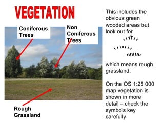 VEGETATION This includes the obvious green wooded areas but look out for  which means rough grassland.  On the OS 1:25 000 map vegetation is shown in more detail – check the symbols key carefully Rough Grassland Coniferous Trees Non Coniferous Trees 