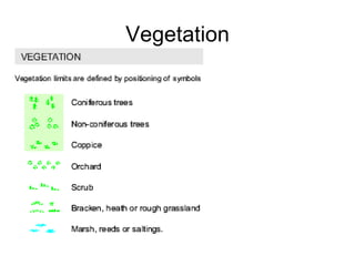 Vegetation 