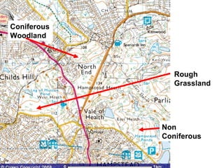Rough Grassland Coniferous Woodland Non Coniferous 