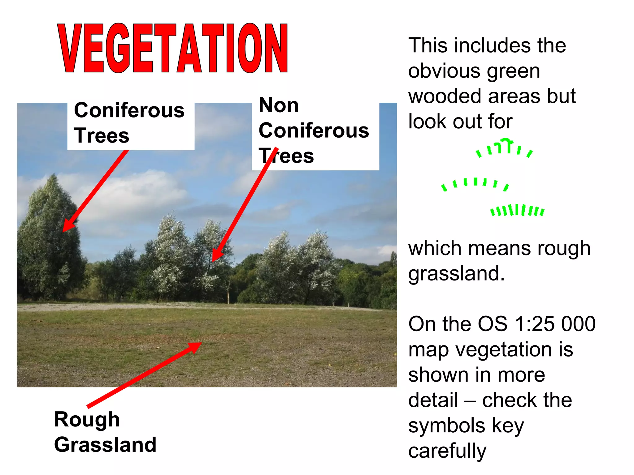 VEGETATION This includes the obvious green wooded areas but look out for  which means rough grassland.  On the OS 1:25 000 map vegetation is shown in more detail – check the symbols key carefully Rough Grassland Coniferous Trees Non Coniferous Trees 