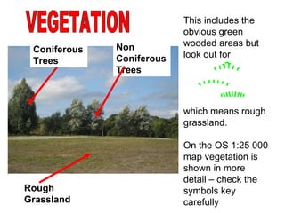 VEGETATION This includes the obvious green wooded areas but look out for  which means rough grassland.  On the OS 1:25 000 map vegetation is shown in more detail – check the symbols key carefully Rough Grassland Coniferous Trees Non Coniferous Trees 